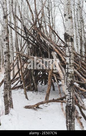 Teepee like structure made of fallen trees on a cold foggy morning at Assiniboine Forest in Winnipeg, Manitoba, Canada Stock Photo