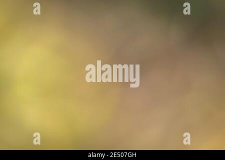 Colorful defocused background, round yellow shape and purple, brown, orange, green and black shadows. Stock Photo