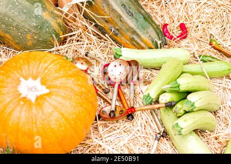 Natural vegetables on hay background. The composition of natural vegetables. Pumpkin, squash, onions on hay. Stock Photo