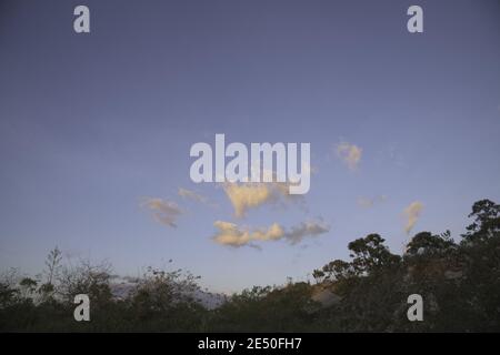Trees and Color Clouds at Blue Sky in Brazil Stock Photo