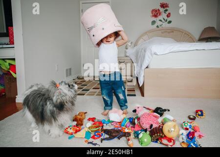 Cute adorable funny baby toddler girl with toy bin on head. Kid child playing with toys at home. Home authentic lifestyle. Kid with domestic animal Stock Photo