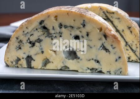 Cheese collection, piece of French blue cheese fourme d'ambert close up Stock Photo