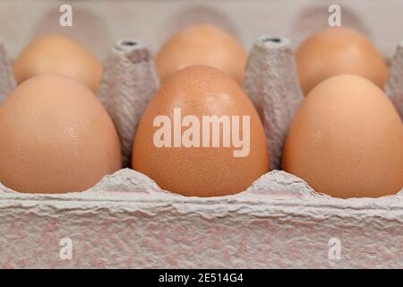 Brown chicken eggs in the package Stock Photo