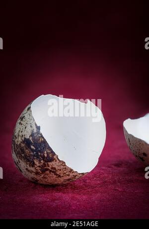 Little broken Quail Eggs In a nest on red Background Stock Photo