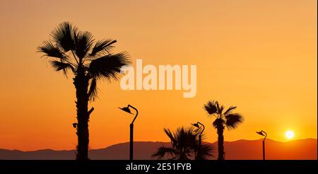 Palms of Konyaalti Promenade, Antalya in Turkey Stock Photo