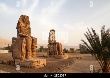 Famous colossi of Memnon, giant sitting statues, Luxor, Egypt Stock Photo