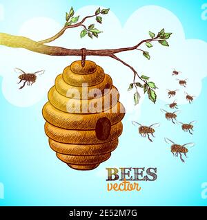 Honey bees and hive on tree branch background vector illustration Stock Vector
