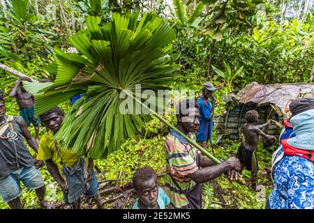Wrack of Japanese Admiral Yamamoto's Aircraft in the jungle of Bougainville, Papua New Guinea Stock Photo