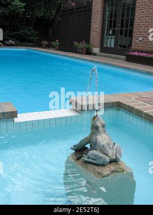 A swimming pool feature in the shape of a frog  spouting water. Stock Photo