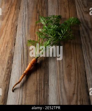 Freshly picked carrots placed in the wooden background