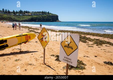 Strong currents and no swimming signs on Bilgola Beach in Sydney, which is also partially covered with seaweed on a hot summers day,Sydney,Australia Stock Photo