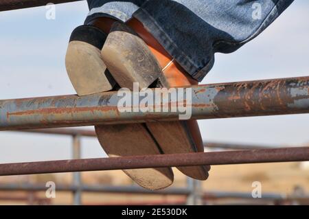 Break Time while Working on a Ranch in Colorado - Cowboy Boots on Fence Stock Photo