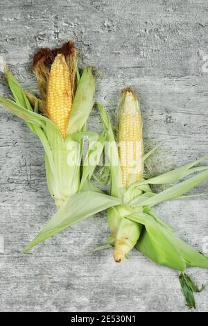 Fresh corns on stone background. Close up Stock Photo