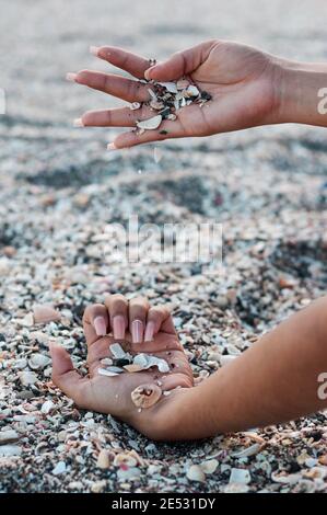 A oman's hands playing with seashells on the beach Stock Photo