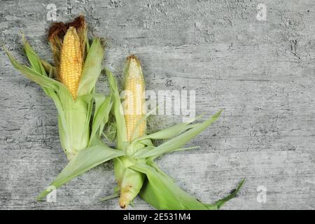 Fresh corns on stone background. Close up Stock Photo
