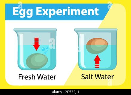 Science experiment with egg float test illustration Stock Vector