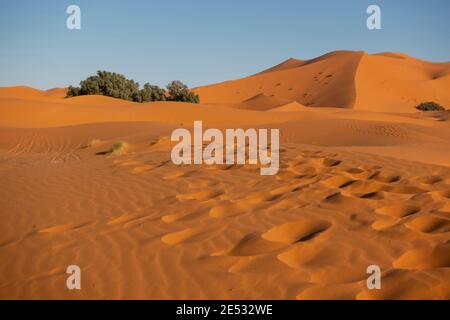 sand dunes in sahara desert, Morocco Stock Photo
