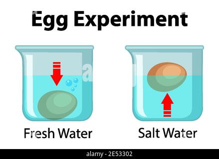 Science experiment with egg float test illustration Stock Vector