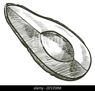 Avocado pear slice without seed, exotic fruit Stock Vector