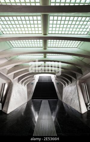 Symmetrical view of a futuristic underground gallery in Liège-Guillemins railway station Stock Photo