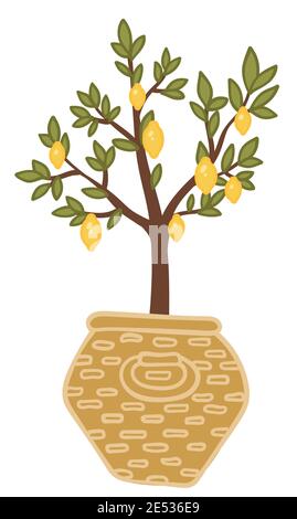 Lemon tree with leaves, potted plant for home Stock Vector
