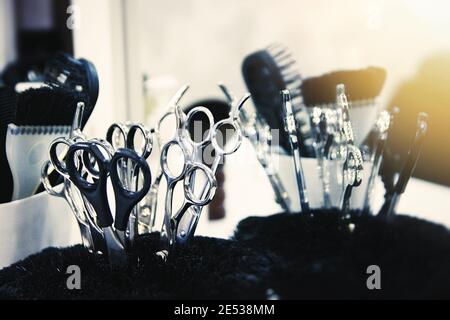 Close-up of scissors and brushes in a stand. Beauty salon tools. Selective soft focus. Lens glare Stock Photo