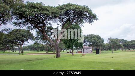 Kathu, South Africa - the Kathuhari Guesthouse on the Kalahari Golf Estate provides luxury overnight accommodation Stock Photo