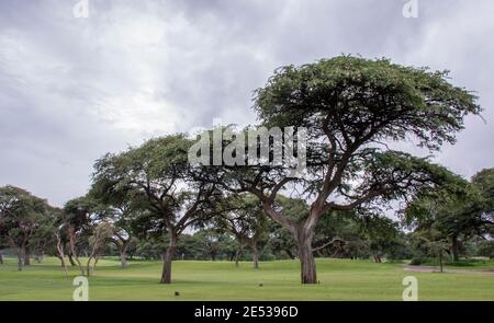 Kathu, South Africa - the Kathuhari Guesthouse on the Kalahari Golf Estate provides luxury overnight accommodation Stock Photo