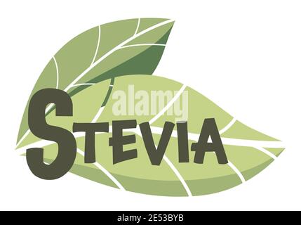 Stevia sweetener vector logo template. Green leaf of sugar Stock Vector