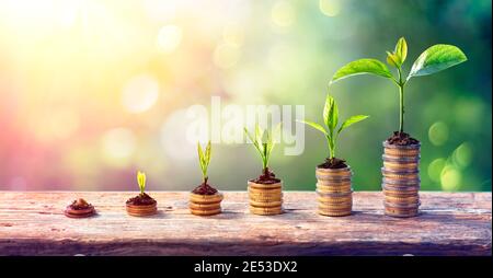 Money Growth Concept - Plants On Coin Stacks In Increase Stock Photo