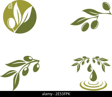 set of olive logo template vector design Stock Vector