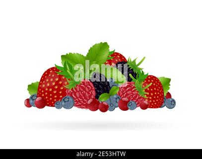 Set of colorful cartoon berries: blueberry, blackberry, raspberry, strawberry, cranberry, mint leaves. Vector illustration, isolated on white Stock Vector