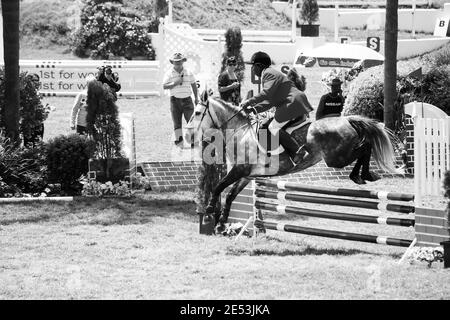 JOHANNESBURG, SOUTH AFRICA - Jan 06, 2021: Johannesburg, South Africa - October 08 2011: Equestrian Show Jumping and Horse Riding display Stock Photo