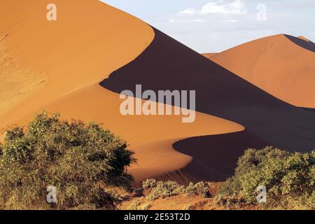 Red Dunes of Sossusvlei Stock Photo