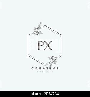 PX Beauty vector initial logo art, handwriting logo of initial signature, wedding, fashion, jewerly, boutique, floral and botanical with creative temp Stock Vector