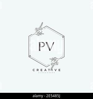 PV Beauty vector initial logo art, handwriting logo of initial signature, wedding, fashion, jewerly, boutique, floral and botanical with creative temp Stock Vector