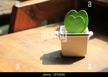 heart shaped pot plant Stock Photo