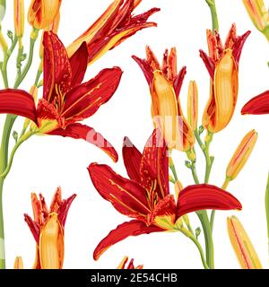 Seamless pattern with bright red and yellow daylily flowers. Botanical illustration with hemerocallis flowers. Stock Vector