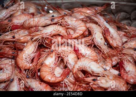 Freshly  cooked  prawns and  shrimps Stock Photo