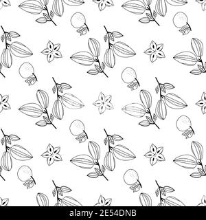 Seamless doodle pattern with tropical fruits of carambola and tangerine. Vector illustration. Stock Vector