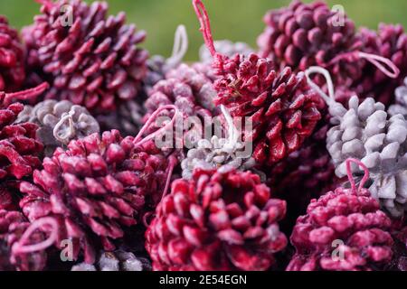 Closeup shot of pines colored in red and white on a green background Stock Photo