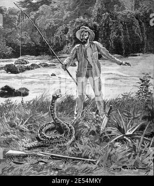 Explorer in Amazon, Amazon River & Huge Snake or Giant Serpent 1902 Vintage Illustration or Engraving Stock Photo