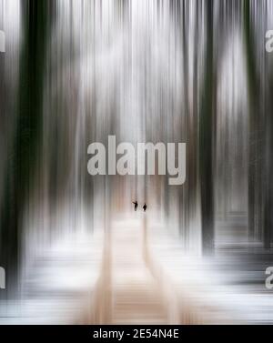 abstract photo of defocused snowy winter forest with adamski style motion blur Stock Photo