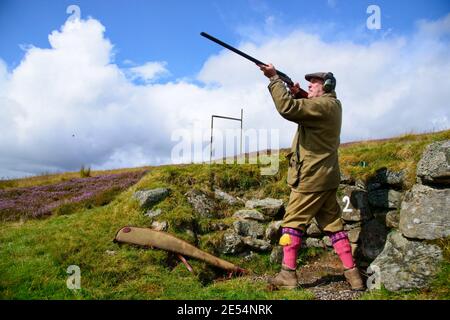 SCOTLAND Perth -- 21 Aug 2014 -- Martin Foxon shoots Red Grouse during a grouse shoot on the Glenturret Esate near Crieff in Perthshire, Scotland, UK. Stock Photo