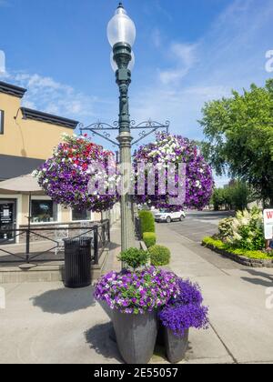 Lynden is the second largest city in Whatcom County, Washington, United States. It is 15 miles (24 km) north of Bellingham and approximately 5 miles ( Stock Photo