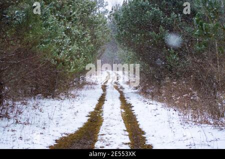 Wide angle shot of the muddy trails made by the continuous passage of tires in a country road otherwise covered in snow. Stock Photo