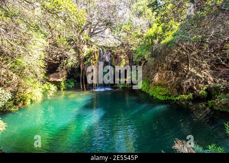 A small Tufa waterfall in the Kadishi river falling into a deep turquoise colored pool within the rain forest of the great escarpment of South Africa Stock Photo