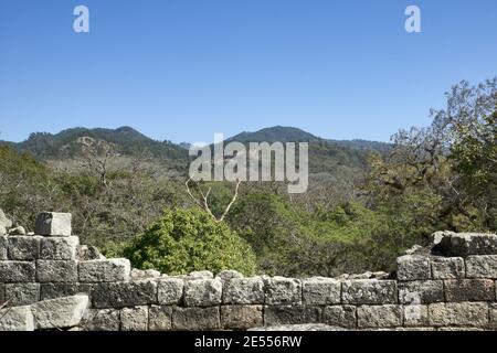 Copan, Honduras, Central America: antique sites (temple, pyramid) in Copan. Copan is an archaeological site of the Maya civilization near Guatemala Stock Photo