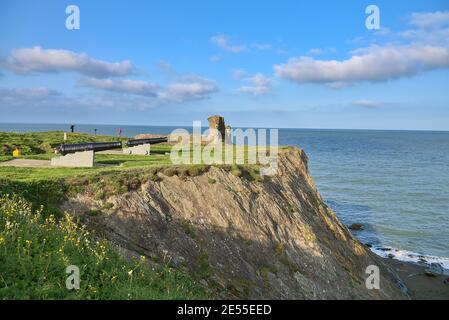 Stunning view of cliffy seascape, old black cannons, yellow flowers, and Black Castle ruins, South Quay, Corporation Lands, Co. Wicklow, Ireland Stock Photo
