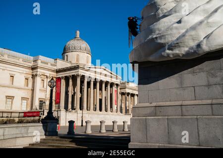 Art work sculpture of cream fly and drone  outside National Gallery in Trafalgar Square, London, UK Stock Photo